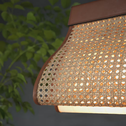 Rattan Hanging lamp for Living Room | Cane Pendant light | Wicker ceiling light - pixie