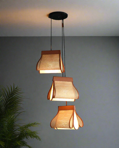 Rattan Hanging lamp for Living Room | Cane Pendant light | Wicker ceiling light - pixie 2.0